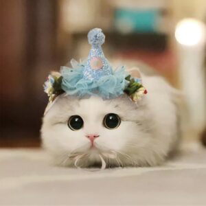 Przepiękna korona dla małych kotków i piesków